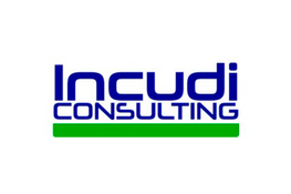 Incudi Consulting